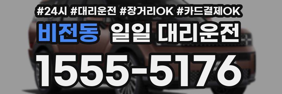 비전동 일일 대리운전
