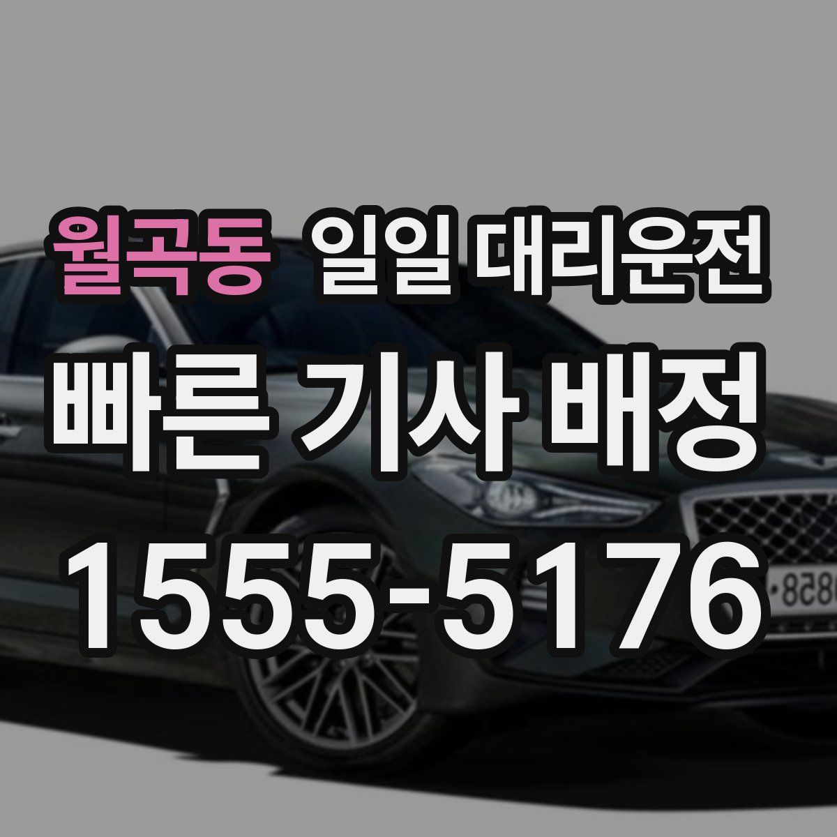 월곡동 일일 대리운전