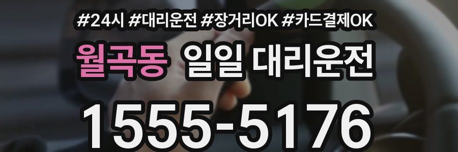 월곡동 일일 대리운전