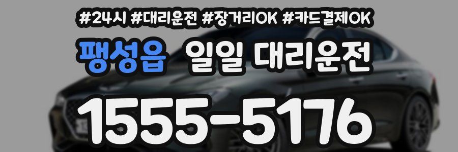 팽성읍 일일 대리운전