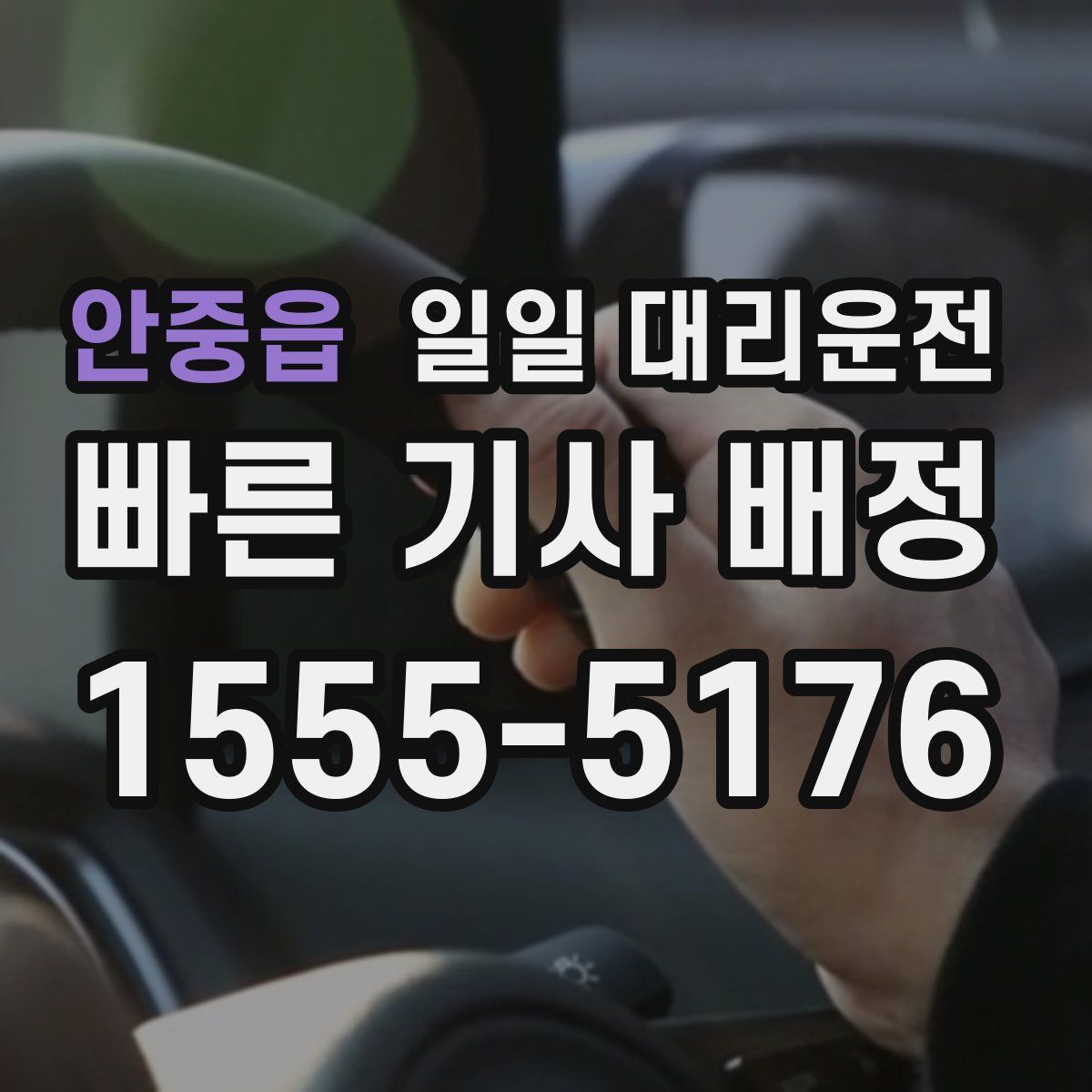 안중읍 일일 대리운전