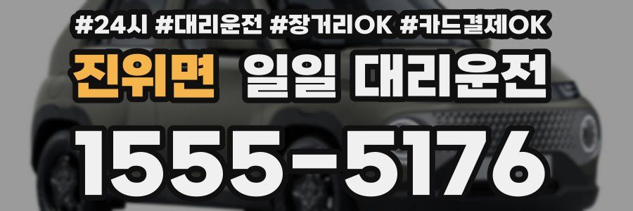 진위면 일일 대리운전