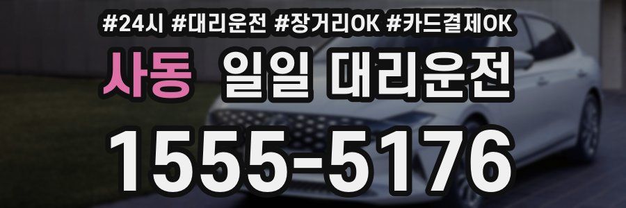 사동 일일 대리운전