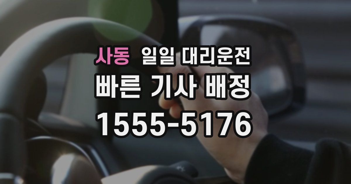 사동 일일 대리운전
