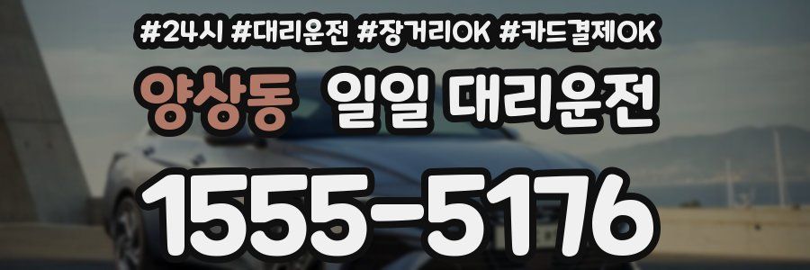 양상동 일일 대리운전
