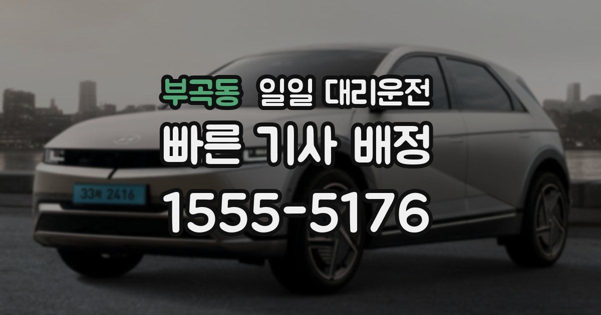 부곡동 일일 대리운전