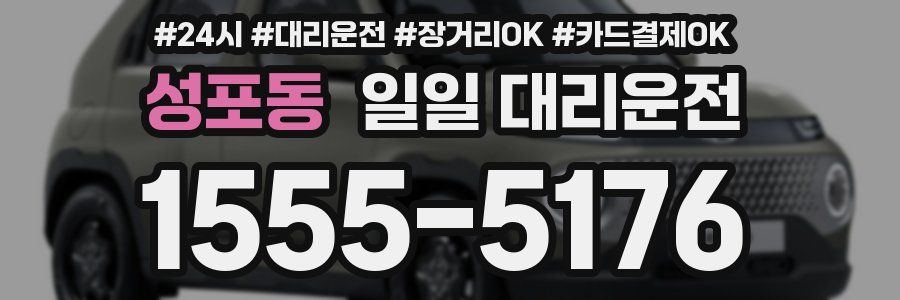 성포동 일일 대리운전