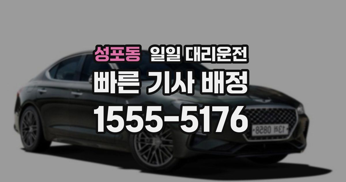 성포동 일일 대리운전