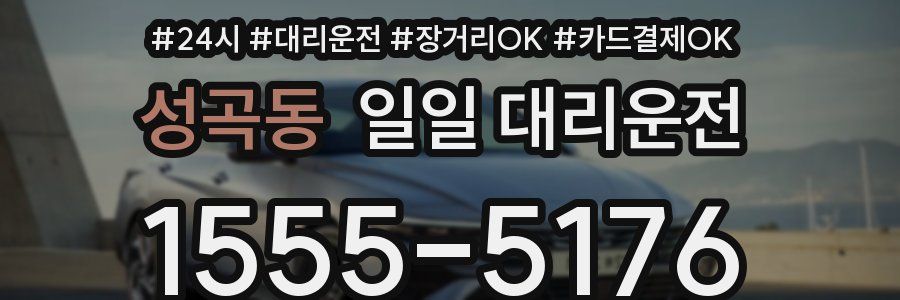 성곡동 일일 대리운전