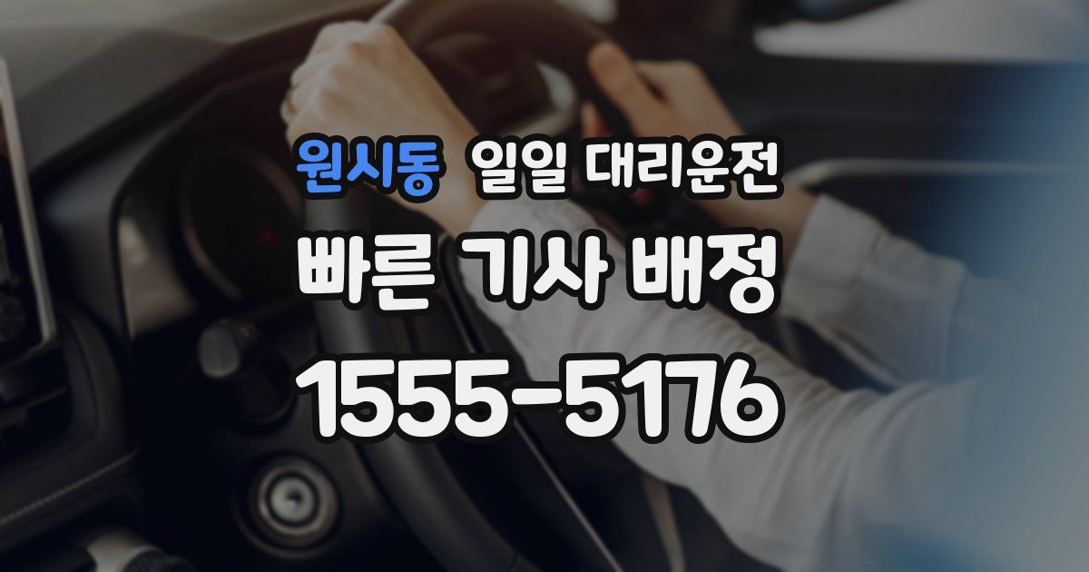 원시동 일일 대리운전