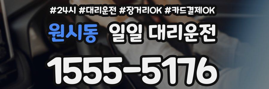 원시동 일일 대리운전