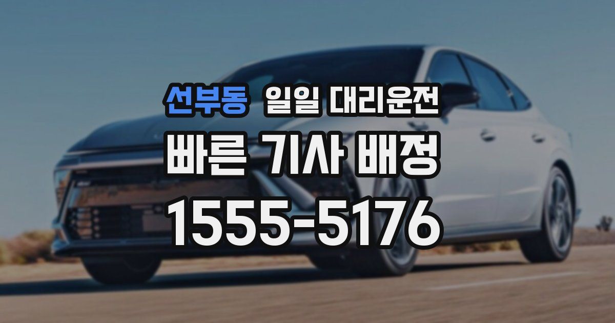 선부동 일일 대리운전