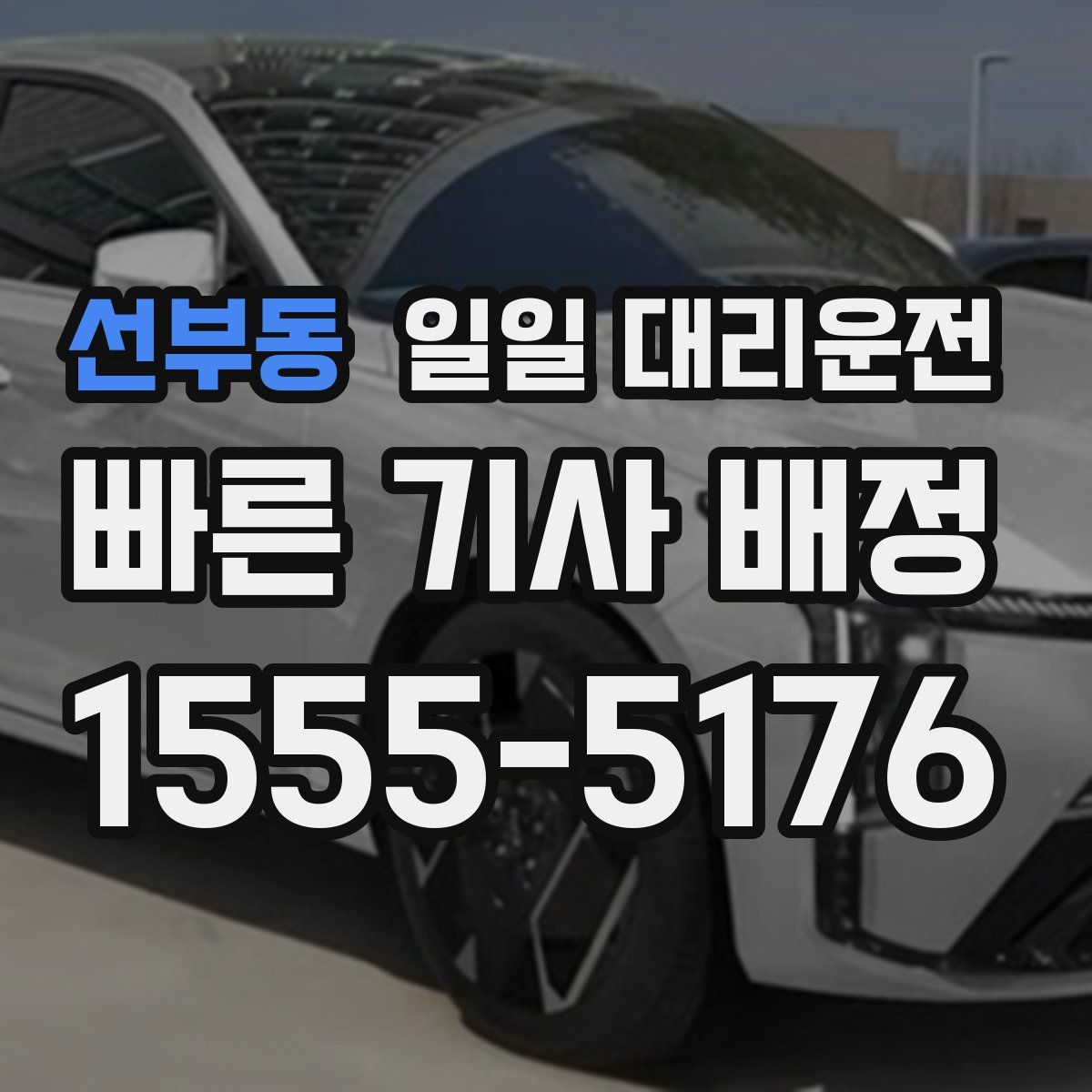 선부동 일일 대리운전