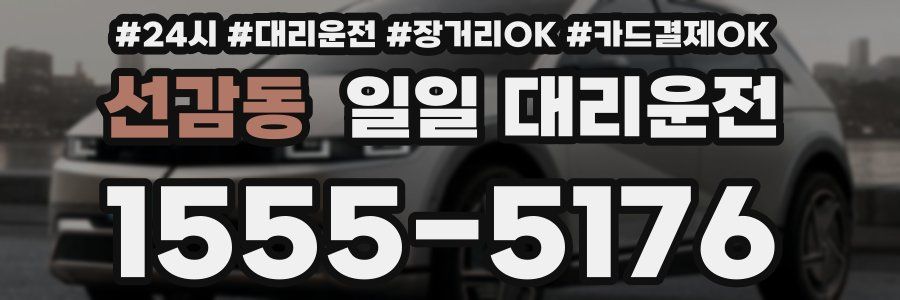 선감동 일일 대리운전