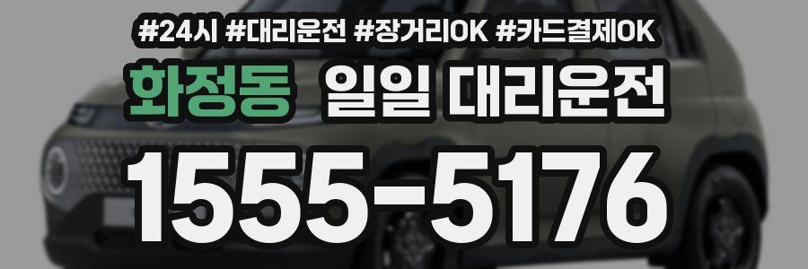 화정동 일일 대리운전