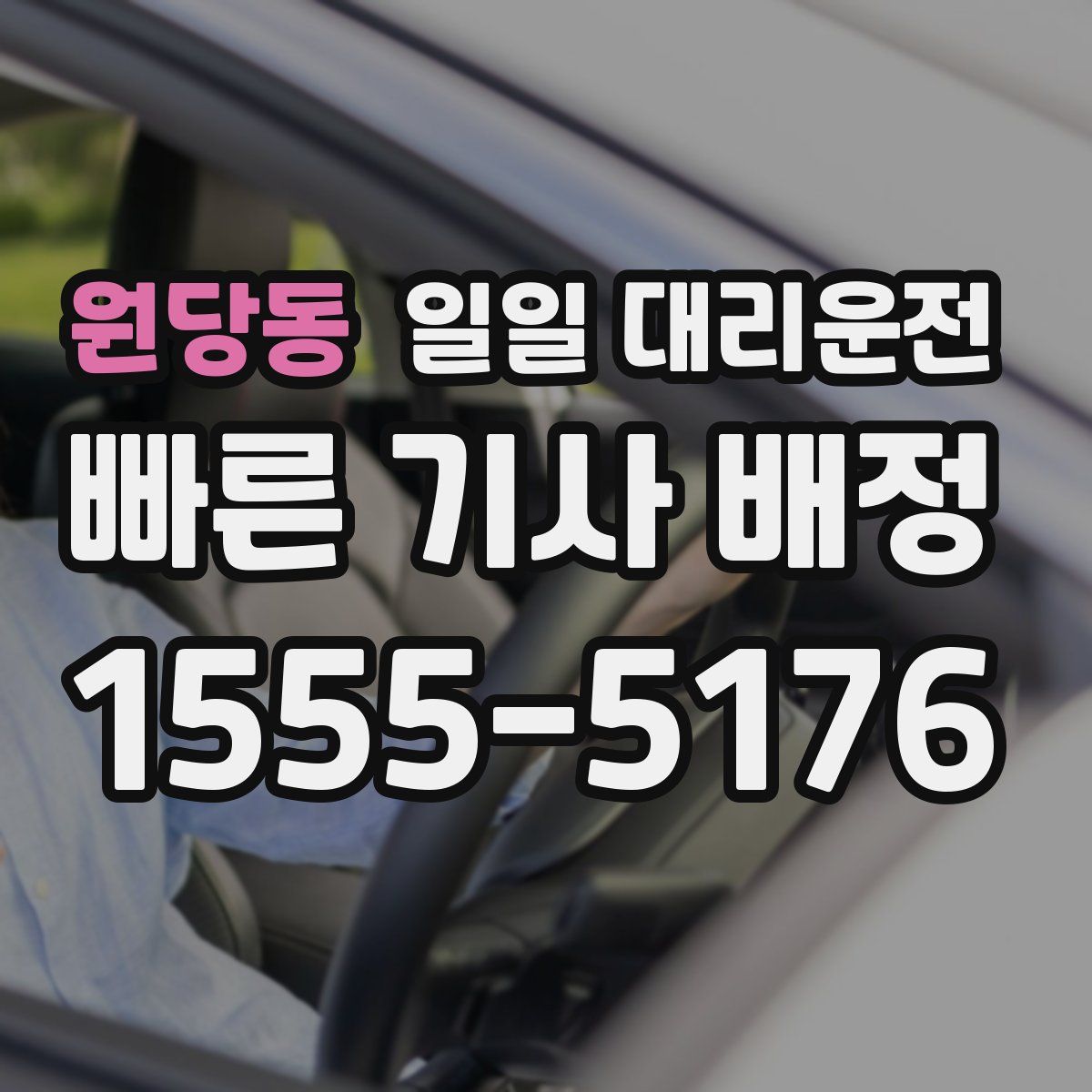원당동 일일 대리운전