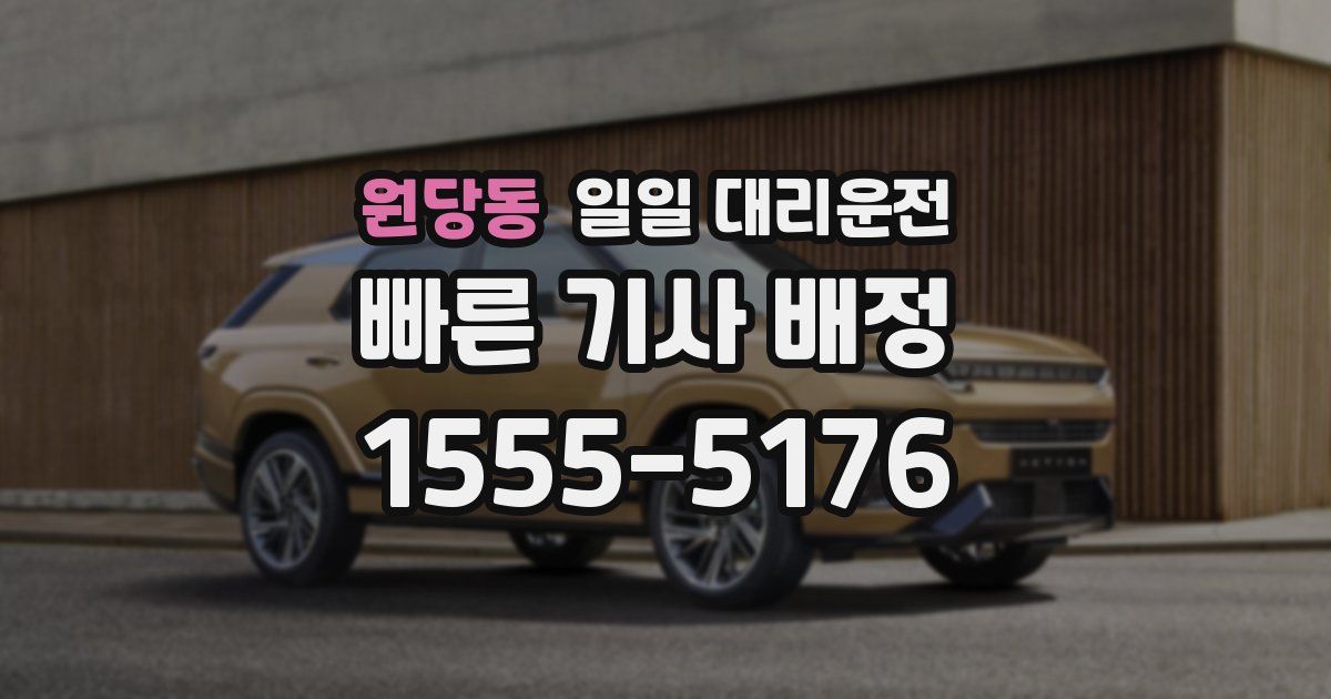 원당동 일일 대리운전