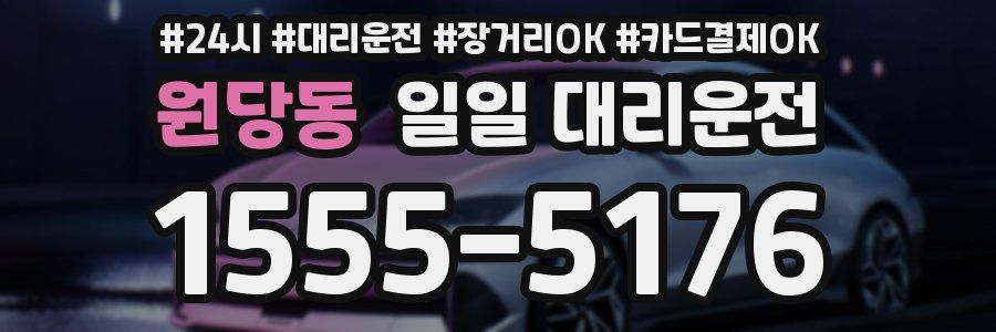 원당동 일일 대리운전