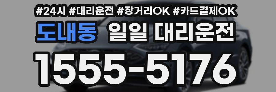 도내동 일일 대리운전