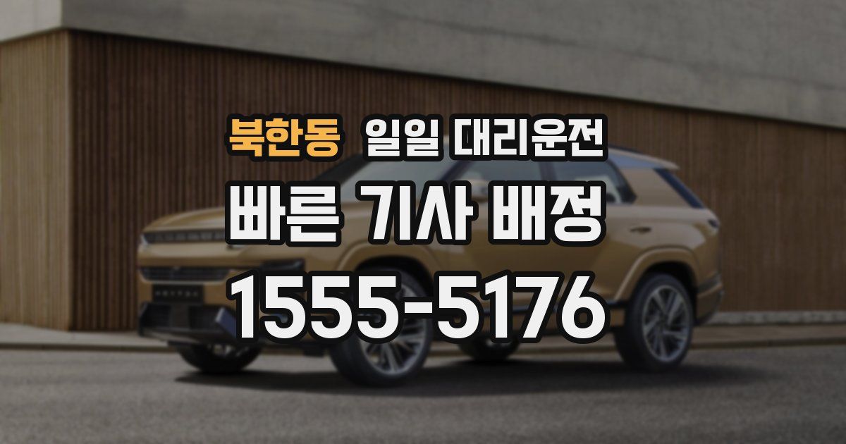 북한동 일일 대리운전