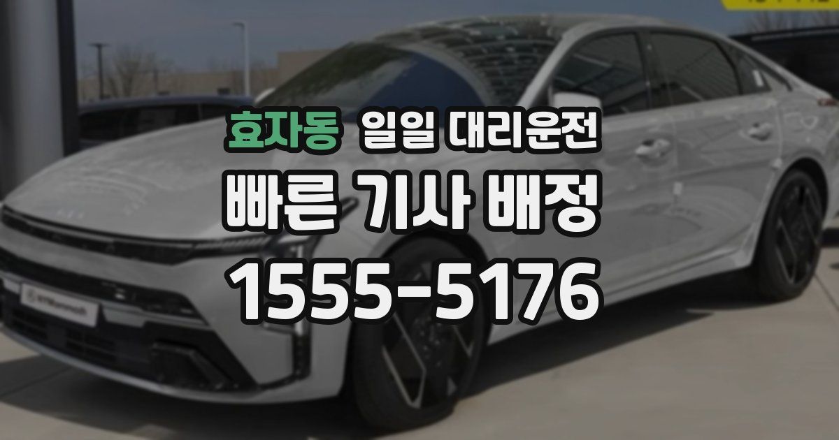 효자동 일일 대리운전