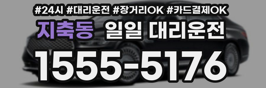 지축동 일일 대리운전