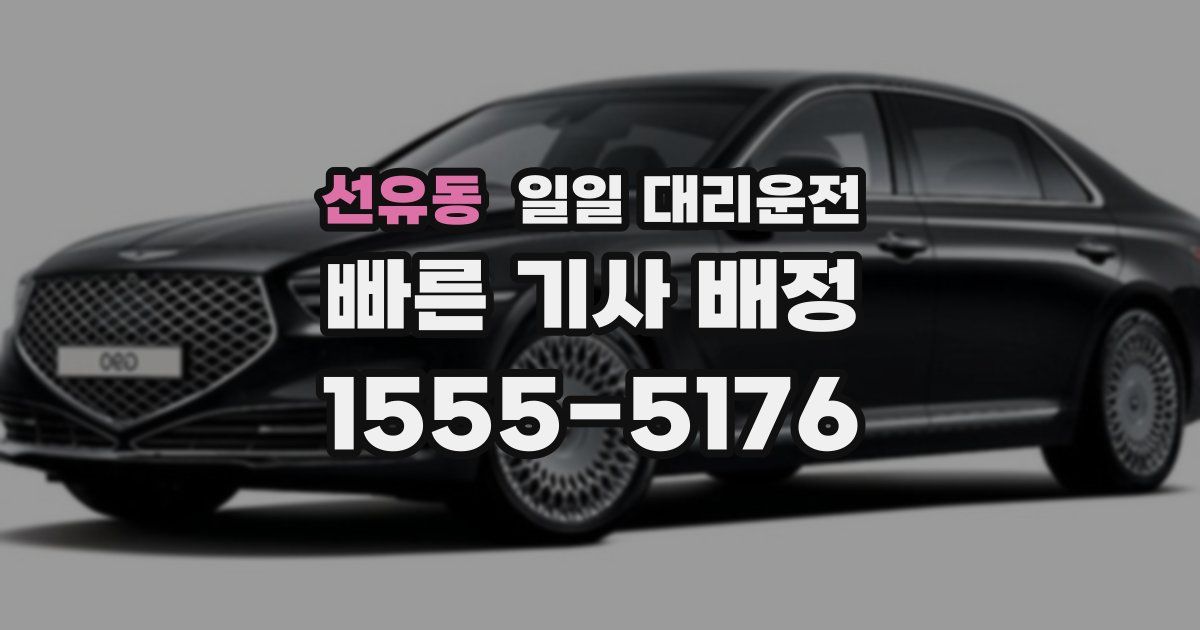 선유동 일일 대리운전