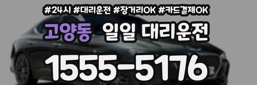 고양동 일일 대리운전