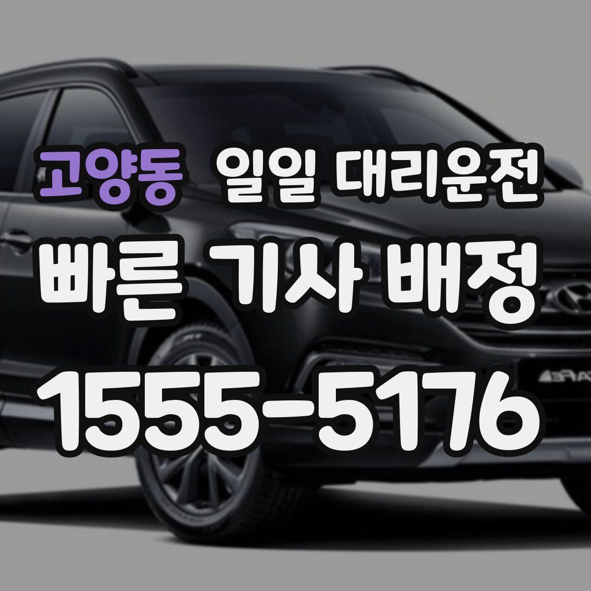 고양동 일일 대리운전