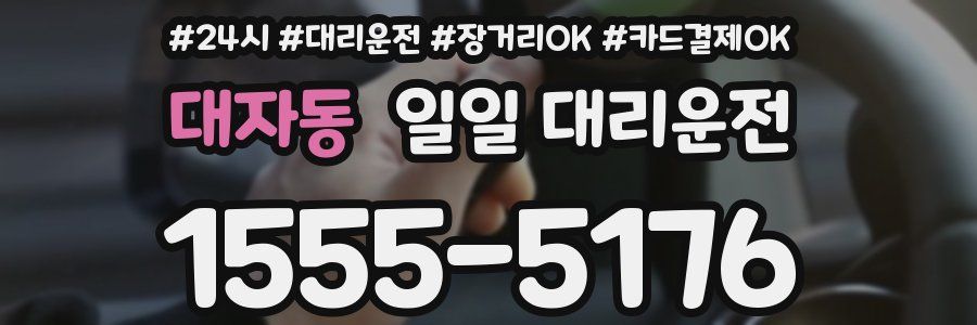 대자동 일일 대리운전