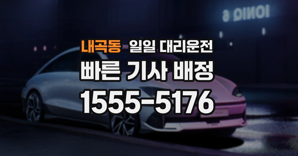 내곡동 일일 대리운전