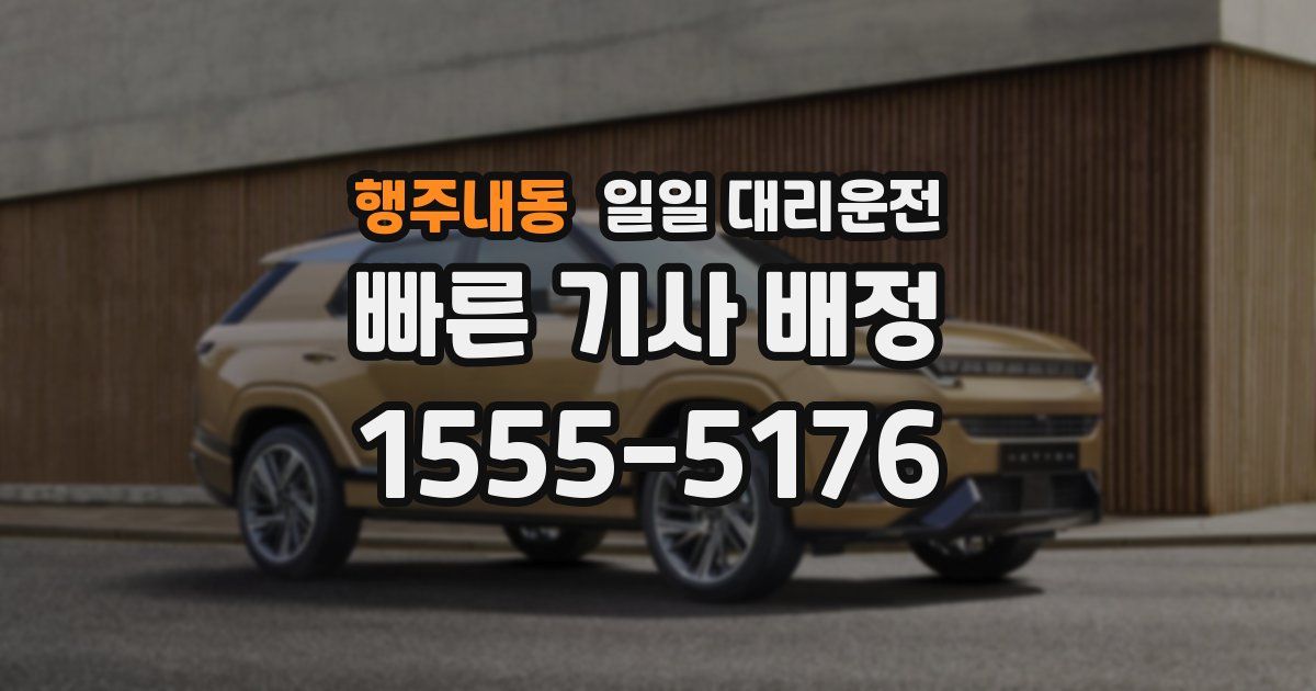 행주내동 일일 대리운전