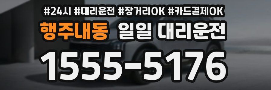 행주내동 일일 대리운전