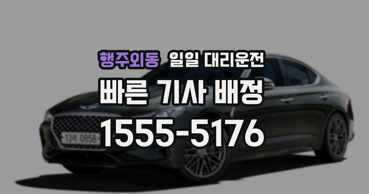 행주외동 일일 대리운전