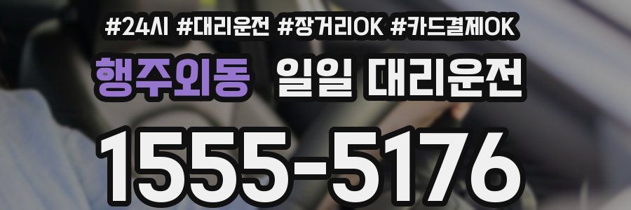 행주외동 일일 대리운전