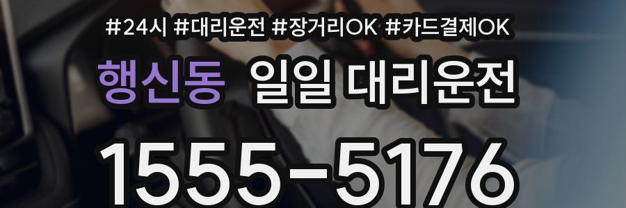 행신동 일일 대리운전