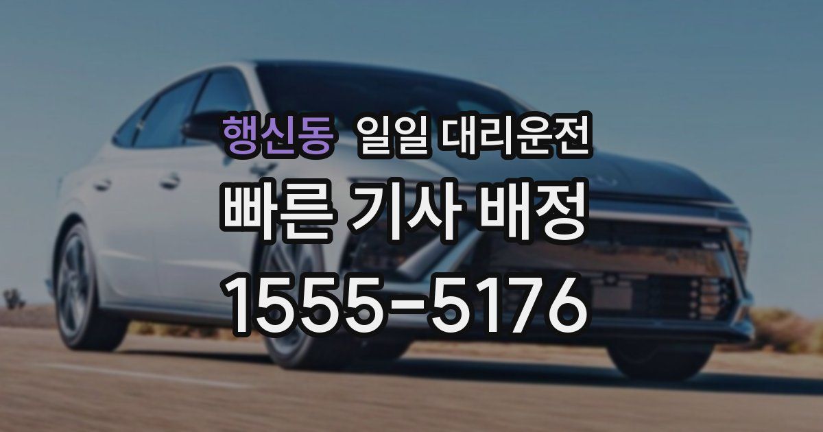 행신동 일일 대리운전