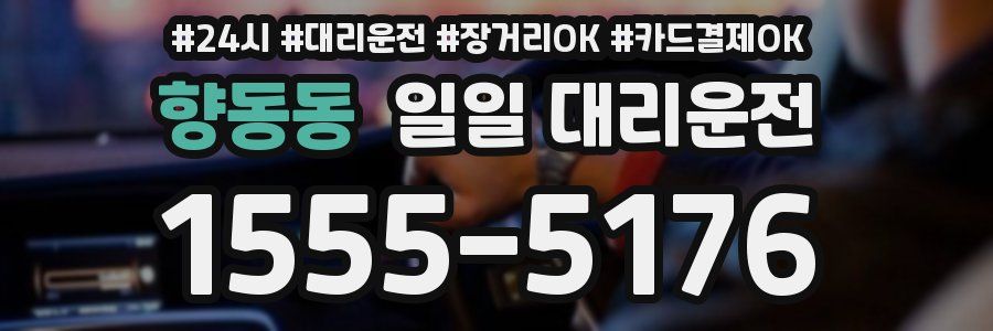 향동동 일일 대리운전