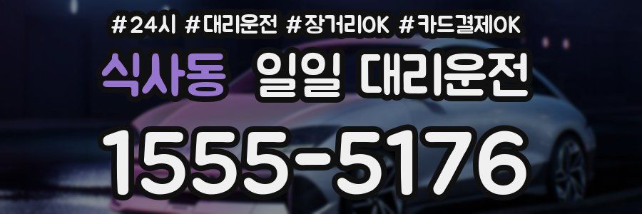 식사동 일일 대리운전