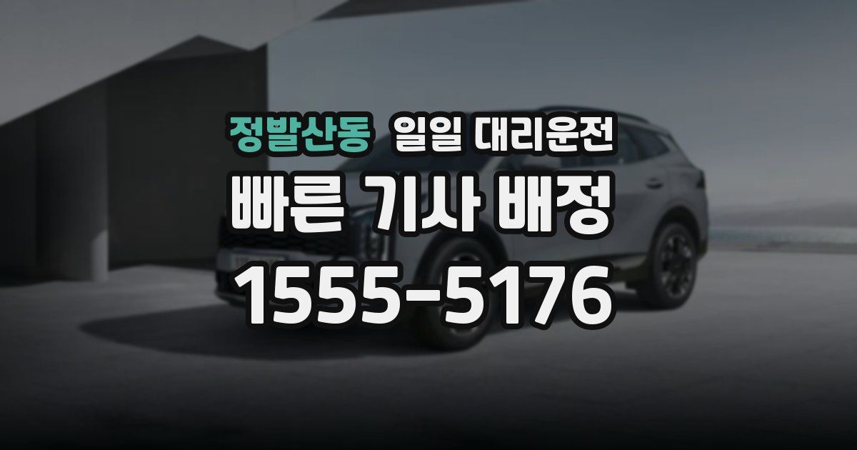 정발산동 일일 대리운전