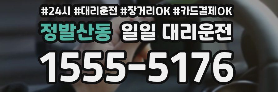 정발산동 일일 대리운전
