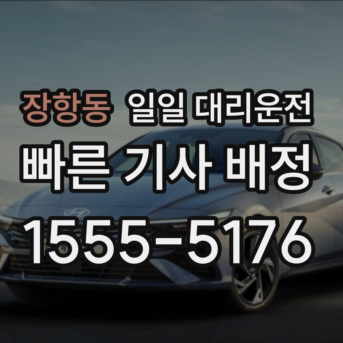 장항동 일일 대리운전