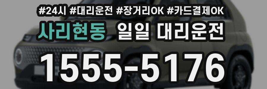 사리현동 일일 대리운전