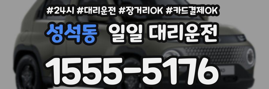 성석동 일일 대리운전