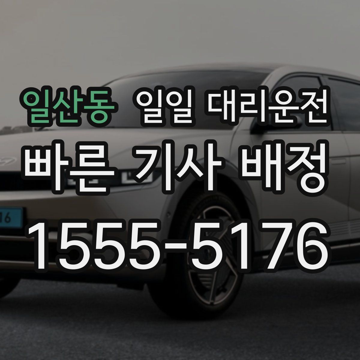 일산동 일일 대리운전