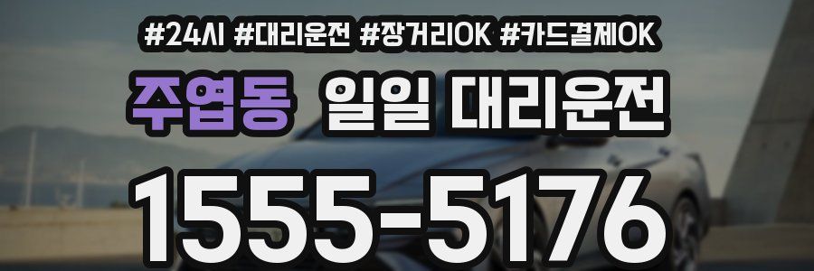 주엽동 일일 대리운전