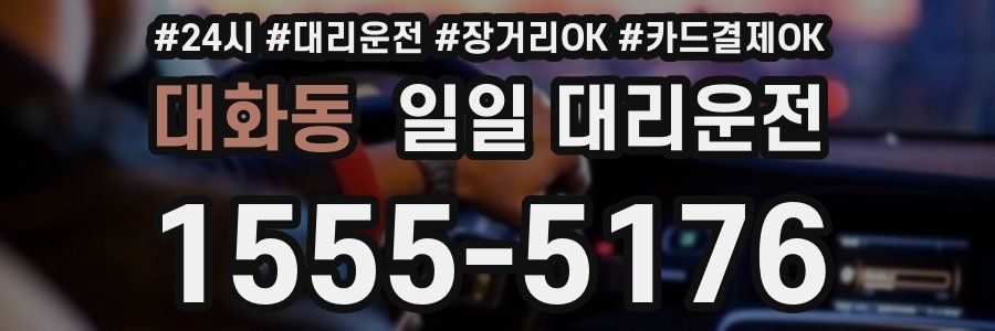 대화동 일일 대리운전