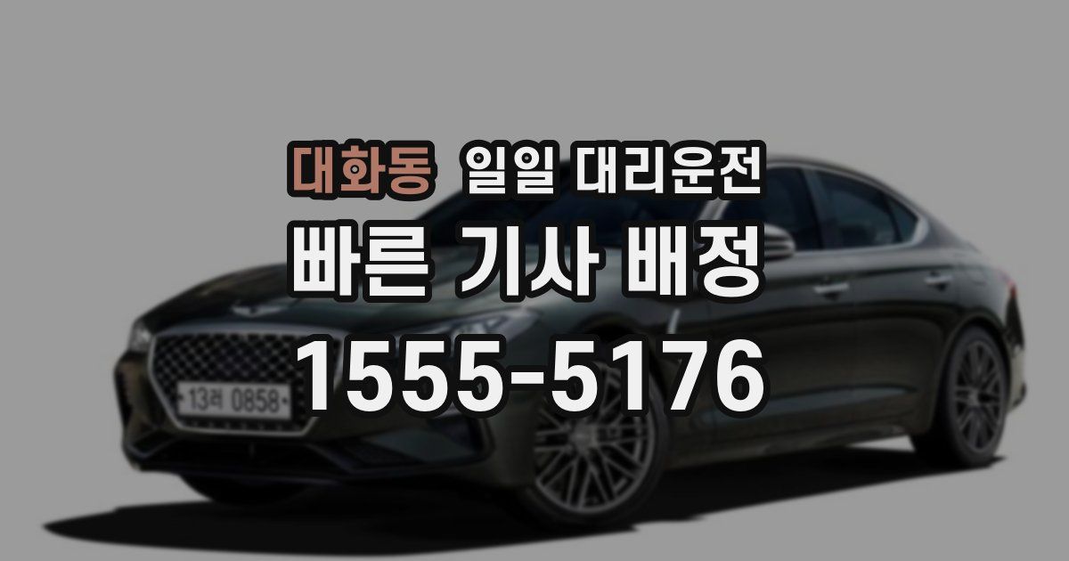 대화동 일일 대리운전