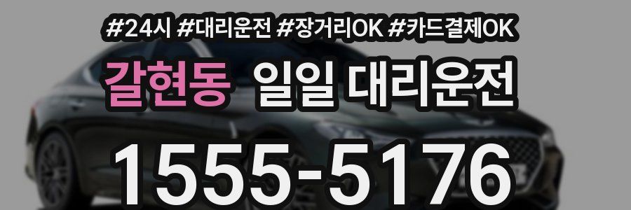갈현동 일일 대리운전