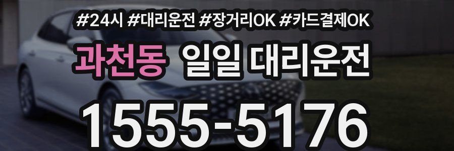 과천동 일일 대리운전